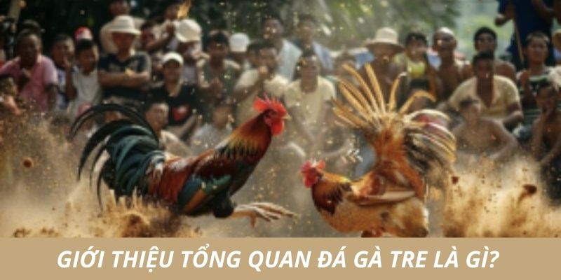 Giới thiệu chung về đá gà tre