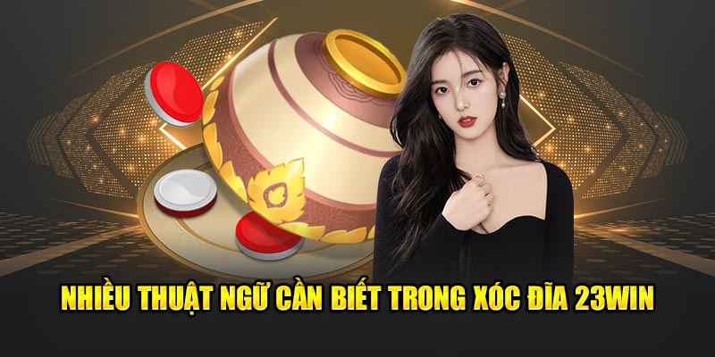 Thuật ngữ cần biết trong xóc đĩa 23Win