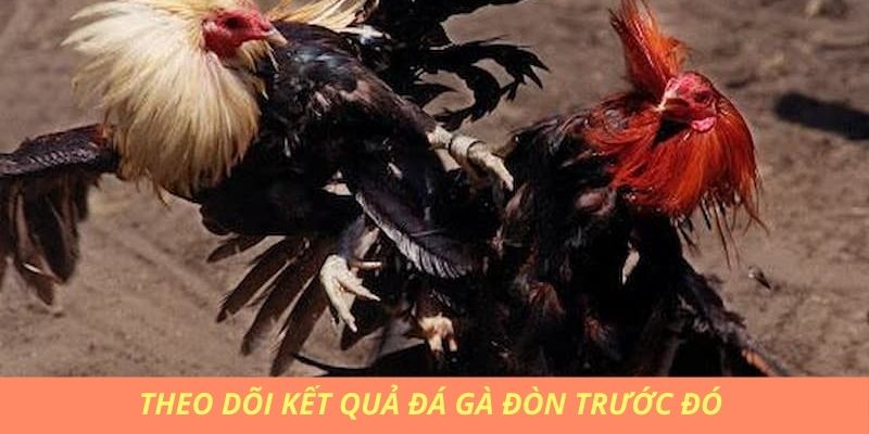 Theo dõi kết quả đá gà đòn