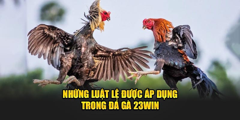 Luật lệ áp dụng trong trò chơi